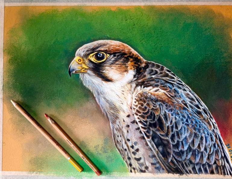 Original Realism Animal Drawing by Tigran Abramyan