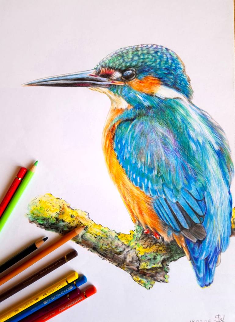 Original Realism Animal Drawing by Tigran Abramyan