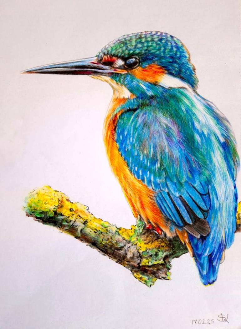 Original Realism Animal Drawing by Tigran Abramyan