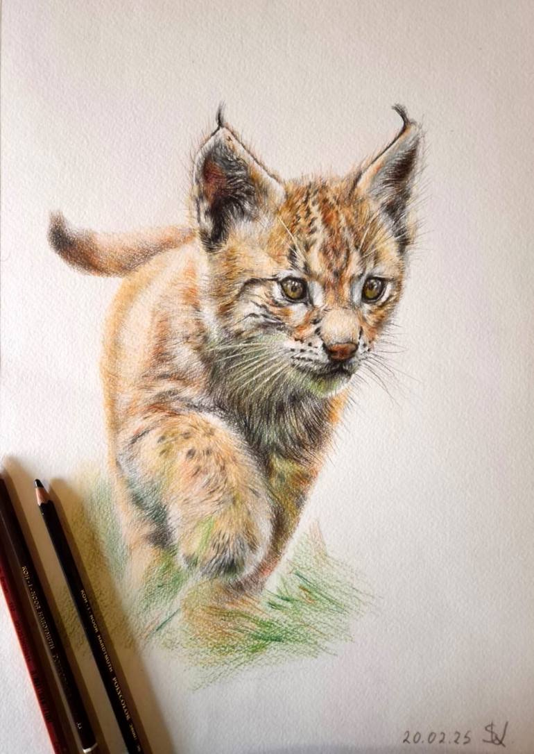 Original Realism Animal Drawing by Tigran Abramyan