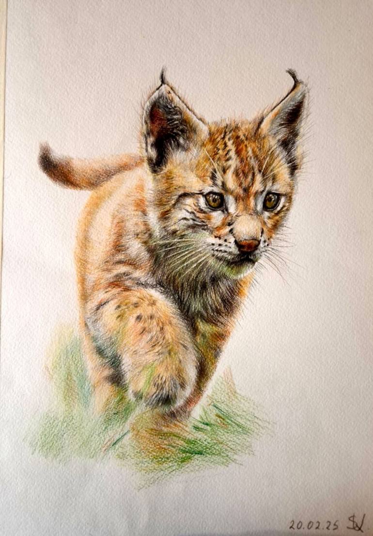 Original Realism Animal Drawing by Tigran Abramyan