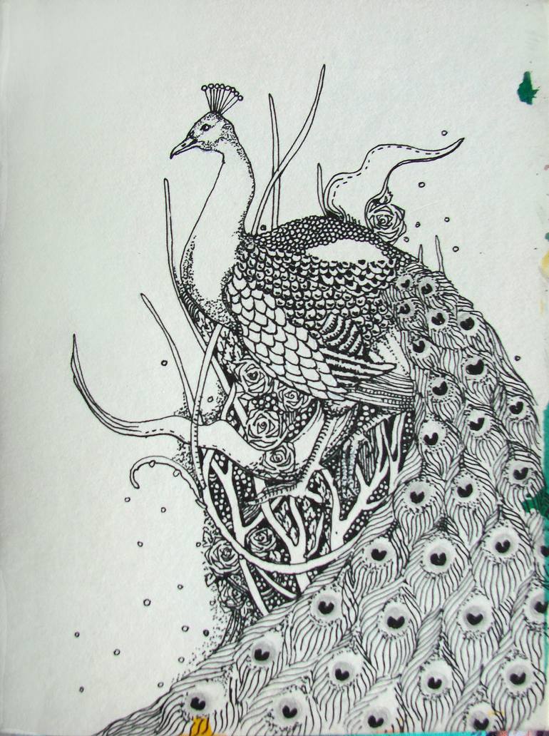 STRUTSTER KINGDOM ANIMALIA Drawing by Asma Kazi Saatchi Art