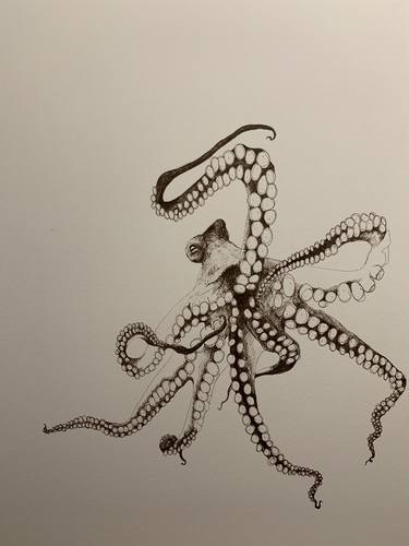 Octopus Study 1 thumb