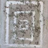 Collection Traces of Ecstasy - Between Memory and Matter