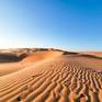 Collection Deserts of UAE