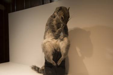 Original Fine Art Animal Sculpture by Field and Young