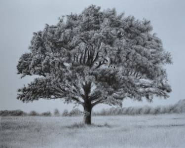 Print of Realism Landscape Drawings by Tijana Markocevic