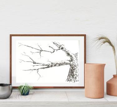 Tree Branch Charcoal Sketch thumb