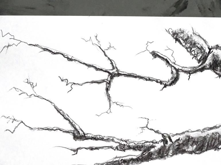 Original Illustration Nature Drawing by Gordana Rakusa