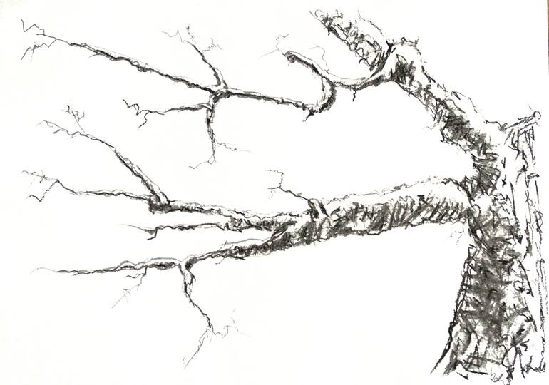 Original Illustration Nature Drawing by Gordana Rakusa