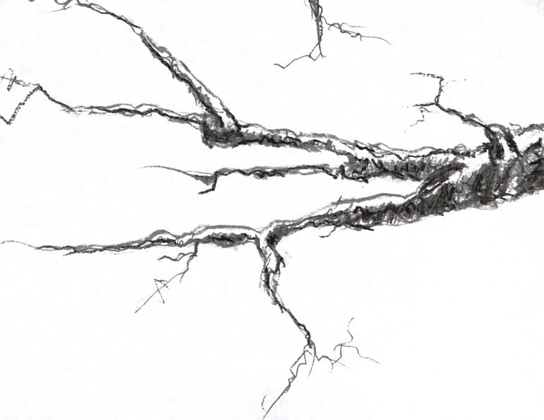 Original Illustration Nature Drawing by Gordana Rakusa