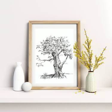 Original Abstract Tree Drawings by Gordana Rakusa