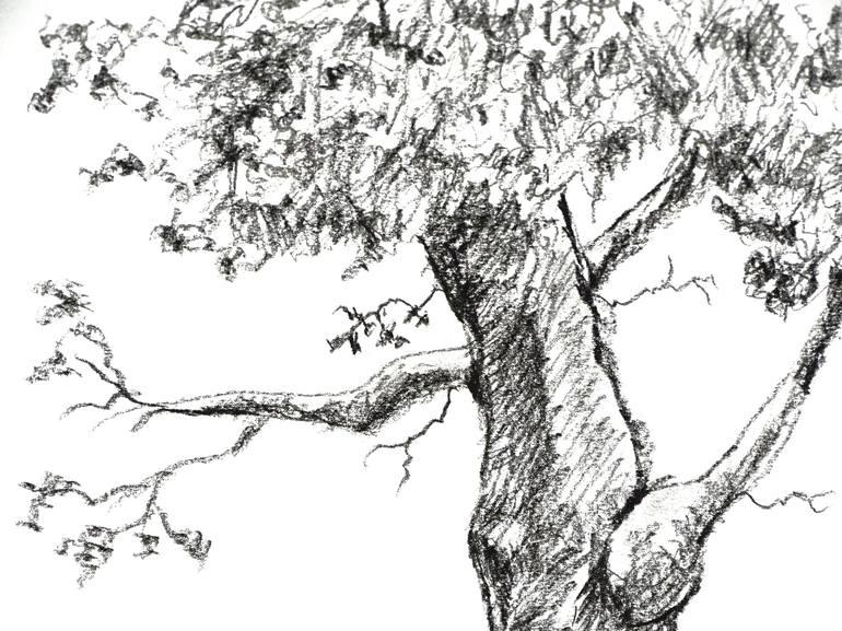 Original Tree Drawing by Gordana Rakusa