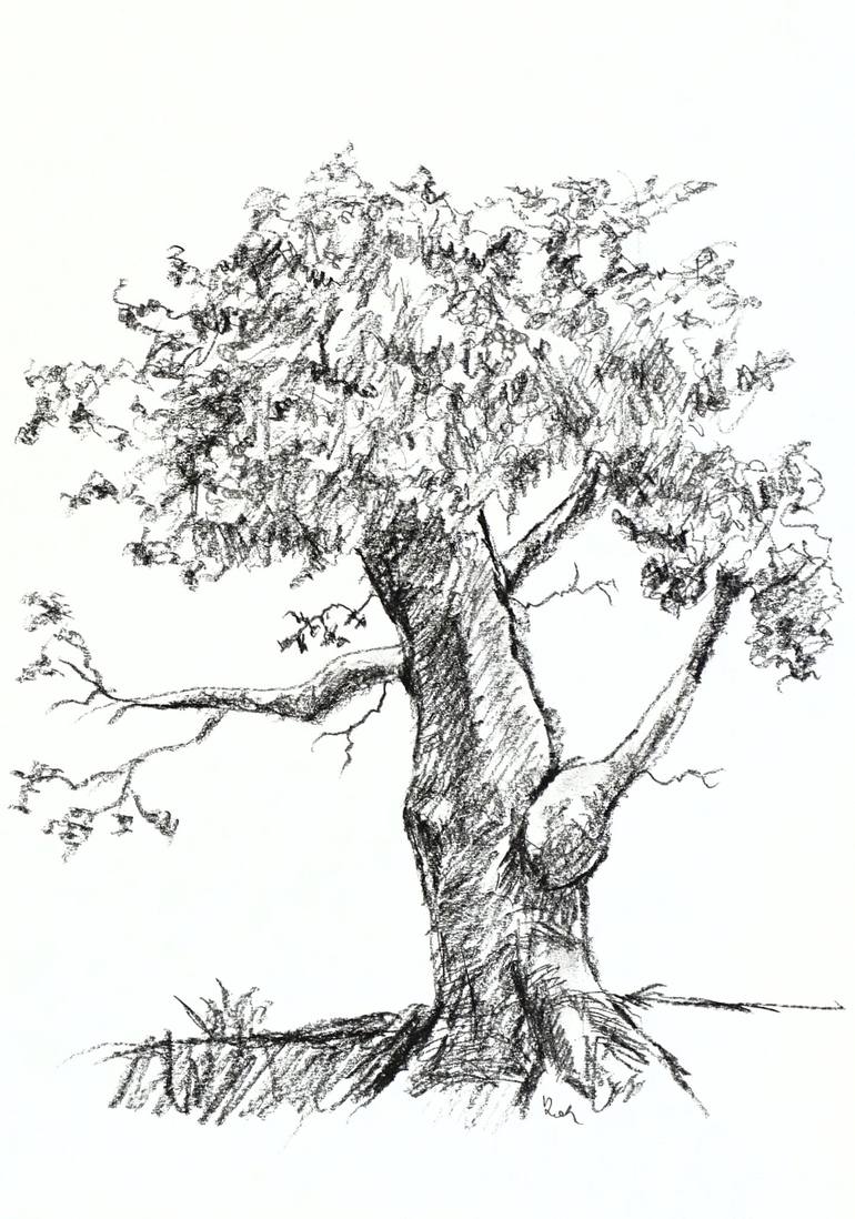 Original Abstract Tree Drawing by Gordana Rakusa