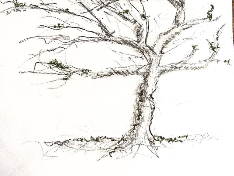 Original Tree Drawing by Gordana Rakusa