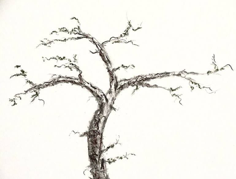 Original Tree Drawing by Gordana Rakusa