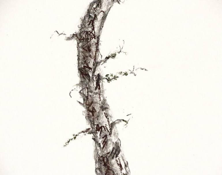 Original Tree Drawing by Gordana Rakusa