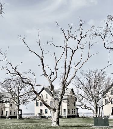 Hook House with Tree - Limited Edition of 10 thumb