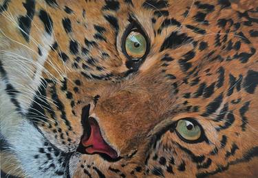 Original Art Deco Animal Paintings by Sanduni Beddage