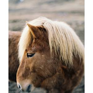 Collection Holiday 2022 Catalog Collection