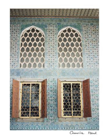 Door Series: Iznik Stars thumb