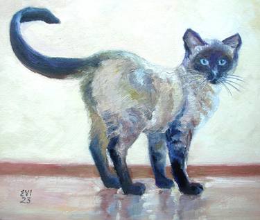 Siamese cat Animal Original oil painting Canvas board 10x12 thumb