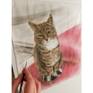 Silk painted cat portrait on red carpet