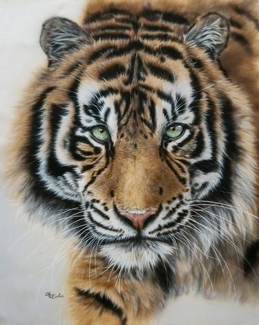 King - Tiger portrait painted on silk thumb