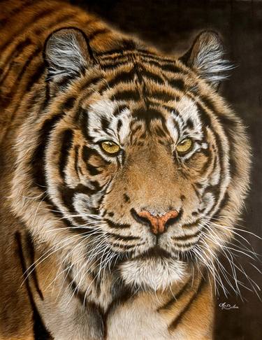 "Power" - Tiger portrait painted on silk thumb