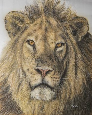 Greatness – Hyperrealistic lion portrait on silk thumb