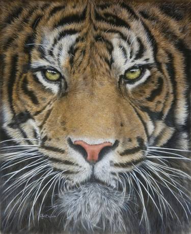 Dash – Silk painted tiger portrait thumb