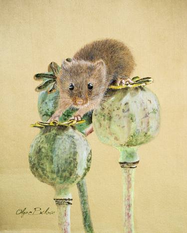 Harvest mouse thumb