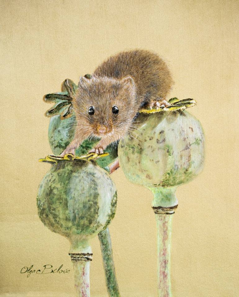 Black Rat King an Original Hand Painted King -   Black rat, Rat king,  Watercolor paintings of animals