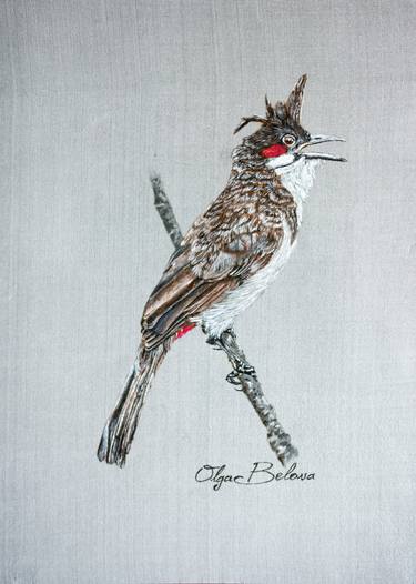 Red-whiskered bulbul thumb