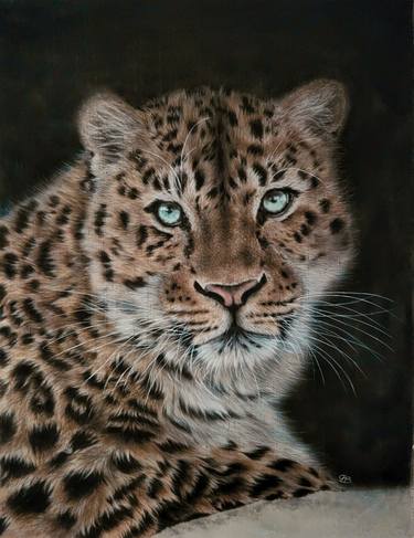 Print of Photorealism Animal Paintings by Olga Belova