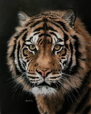 Original Photorealism Animal Paintings by Olga Belova