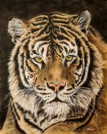 Print of Photorealism Animal Paintings by Olga Belova