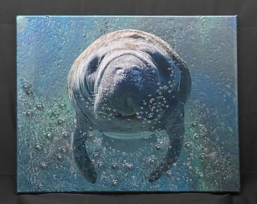 Print of Photorealism Animal Paintings by Janelle Kelley