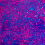 Collection New This Week 03-14-2022