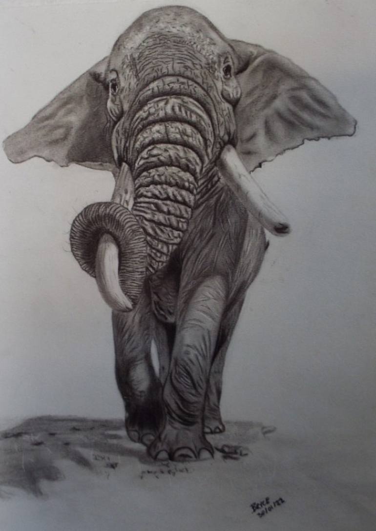 Wildlife Drawing by Master arts MA