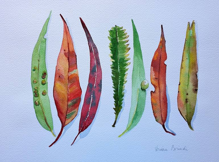 Explore Leaves and Make Rainbow Leaf Prints – Experiment Exchange