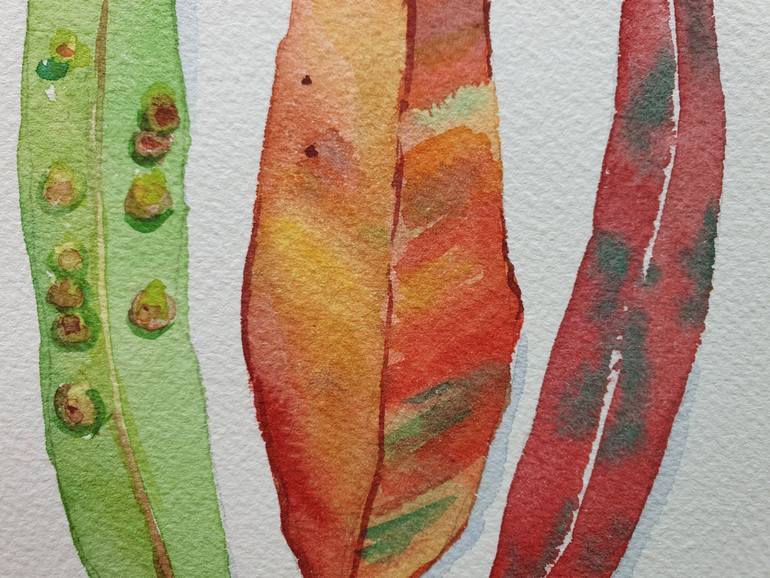 Original Illustration Botanic Painting by Diana Borinski