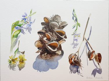 Print of Botanic Paintings by Diana Borinski