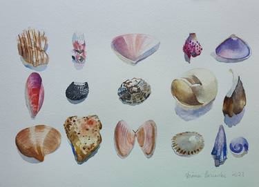 Original Illustration Seascape Paintings by Diana Borinski