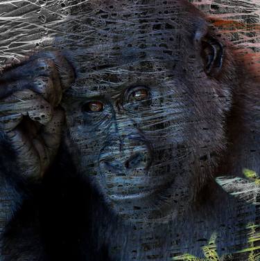 Wet Plastic Wrapped Ape In Thought - Limited Edition of 2 thumb