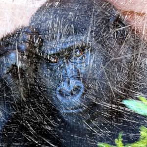 Collection APE IN THOUGHT NFT PRINTS
