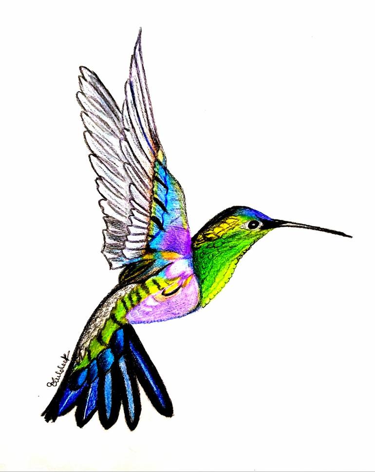 hummingbird drawing