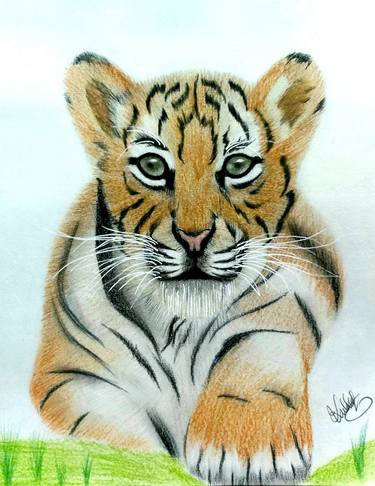 Print of Fine Art Animal Drawings by Kuldeep Singh