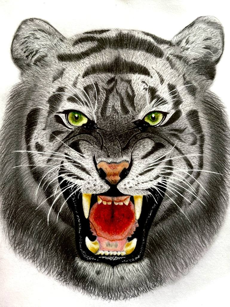 The Bengal Tiger Drawing By Kuldeep Singh Saatchi Art 7347