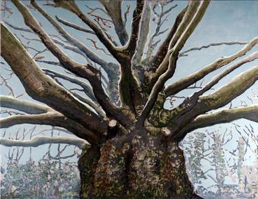 Original Realism Tree Paintings by Rutger Vos